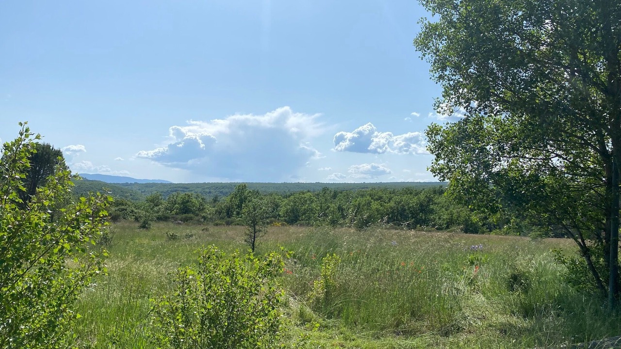 Photo of Outdoor in Saint-Michel-l'Observatoire