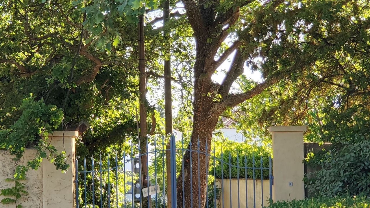 Photo of Outdoor in Grand Sud