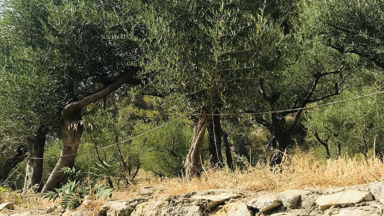 Photo of Outdoor in Boulbon