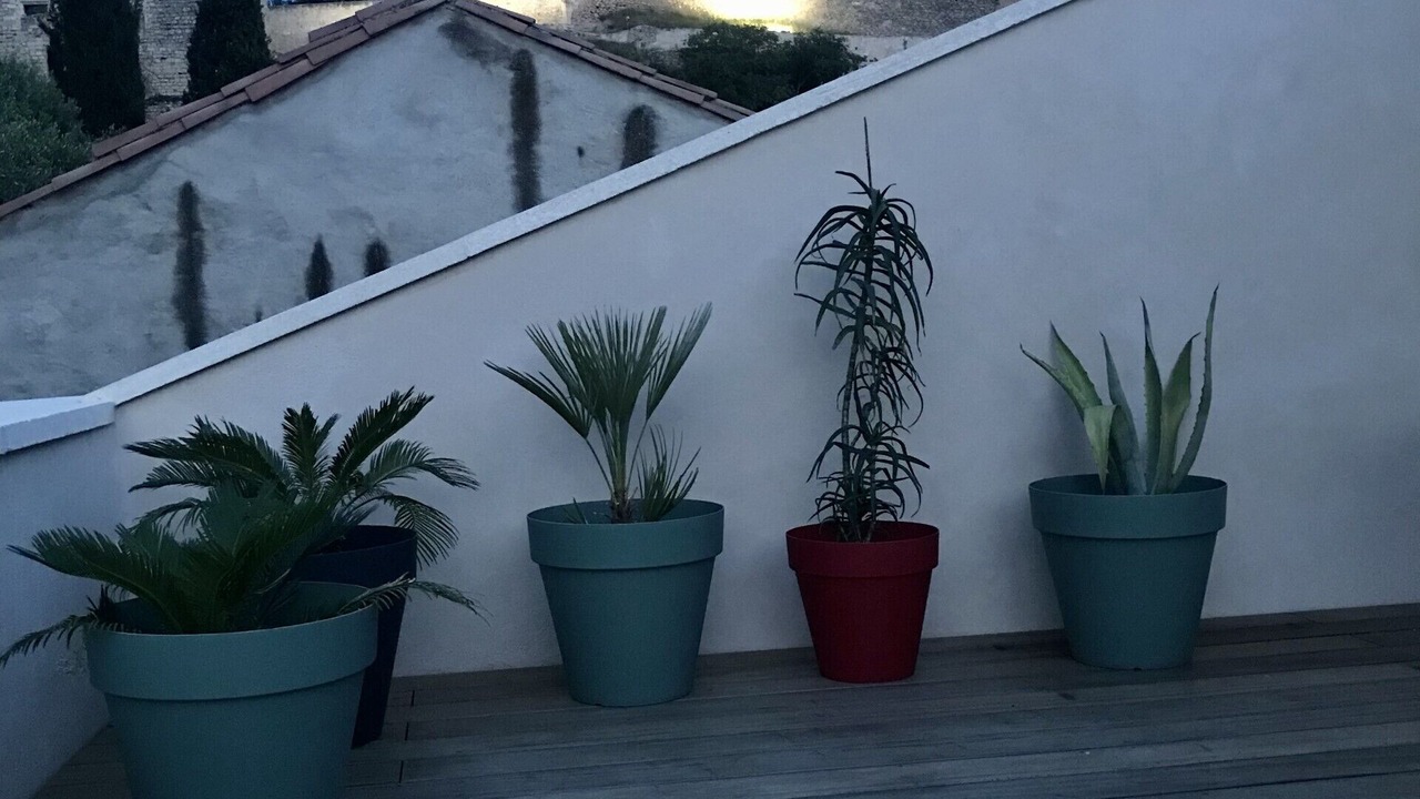 Photo of Patio Balcony in Boulbon