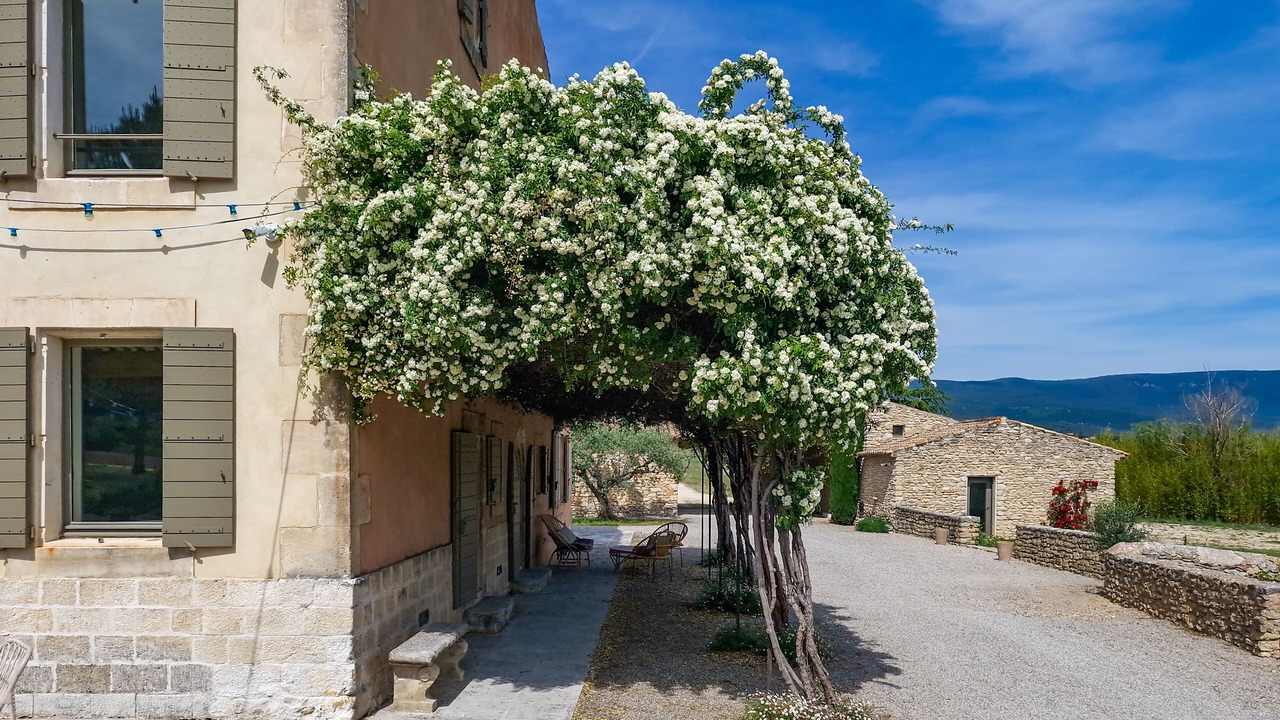 Photo of Outdoor in Saint-Saturnin-les-Apt