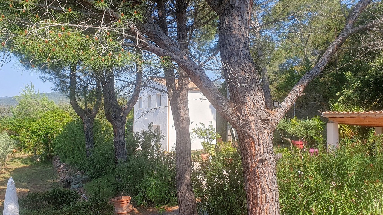 Photo of Outdoor in Cuers