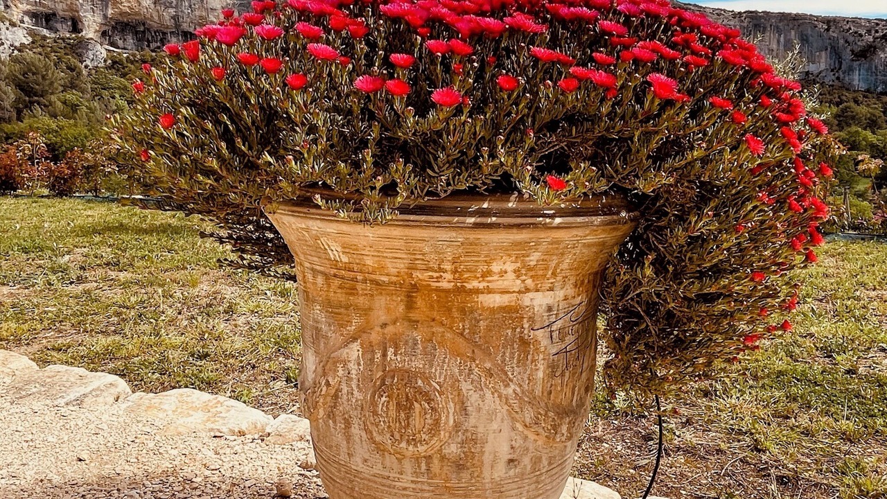 Photo of Outdoor in Lioux
