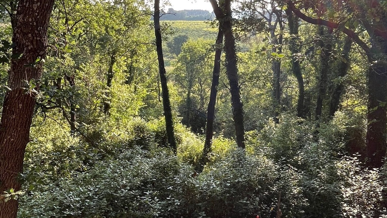Photo of Outdoor in Venelles