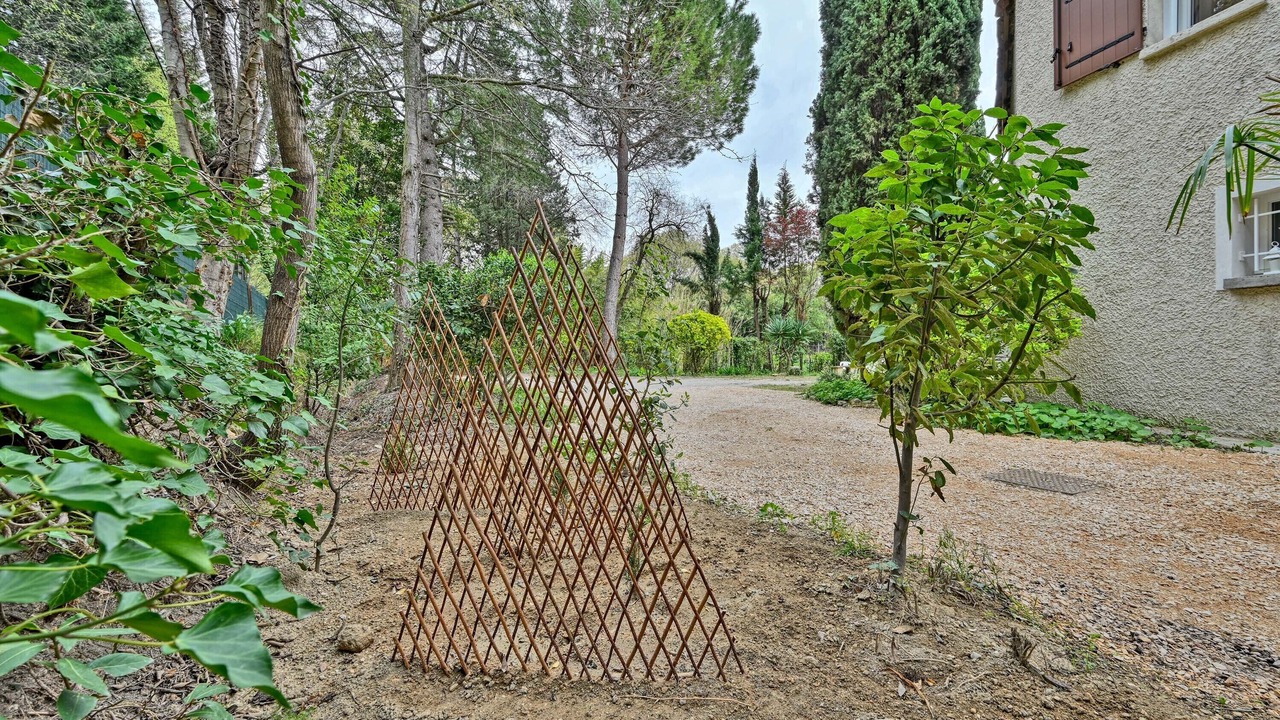 Photo of Outdoor in Les Angles