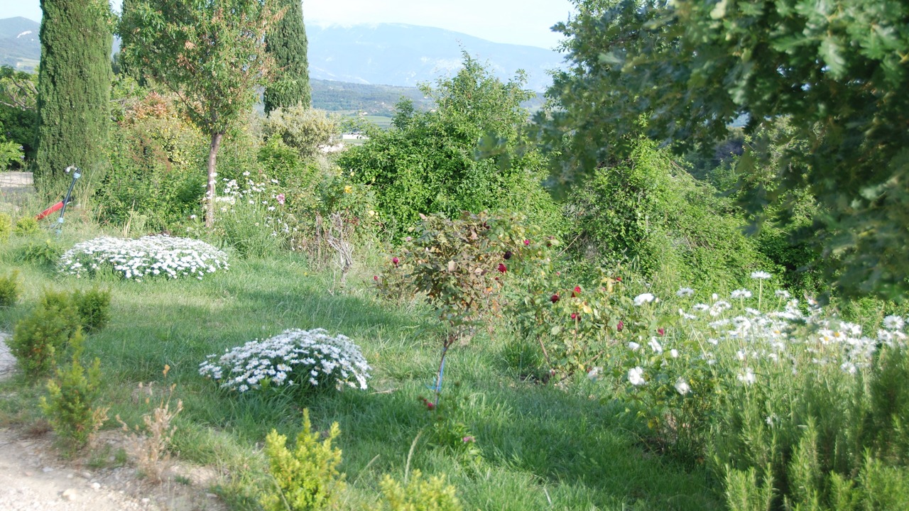 Photo of Outdoor in Vinsobres