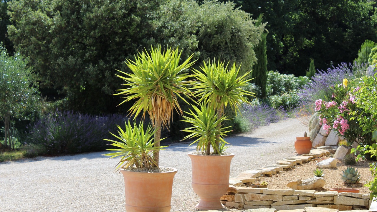 Photo of Outdoor in Vinsobres