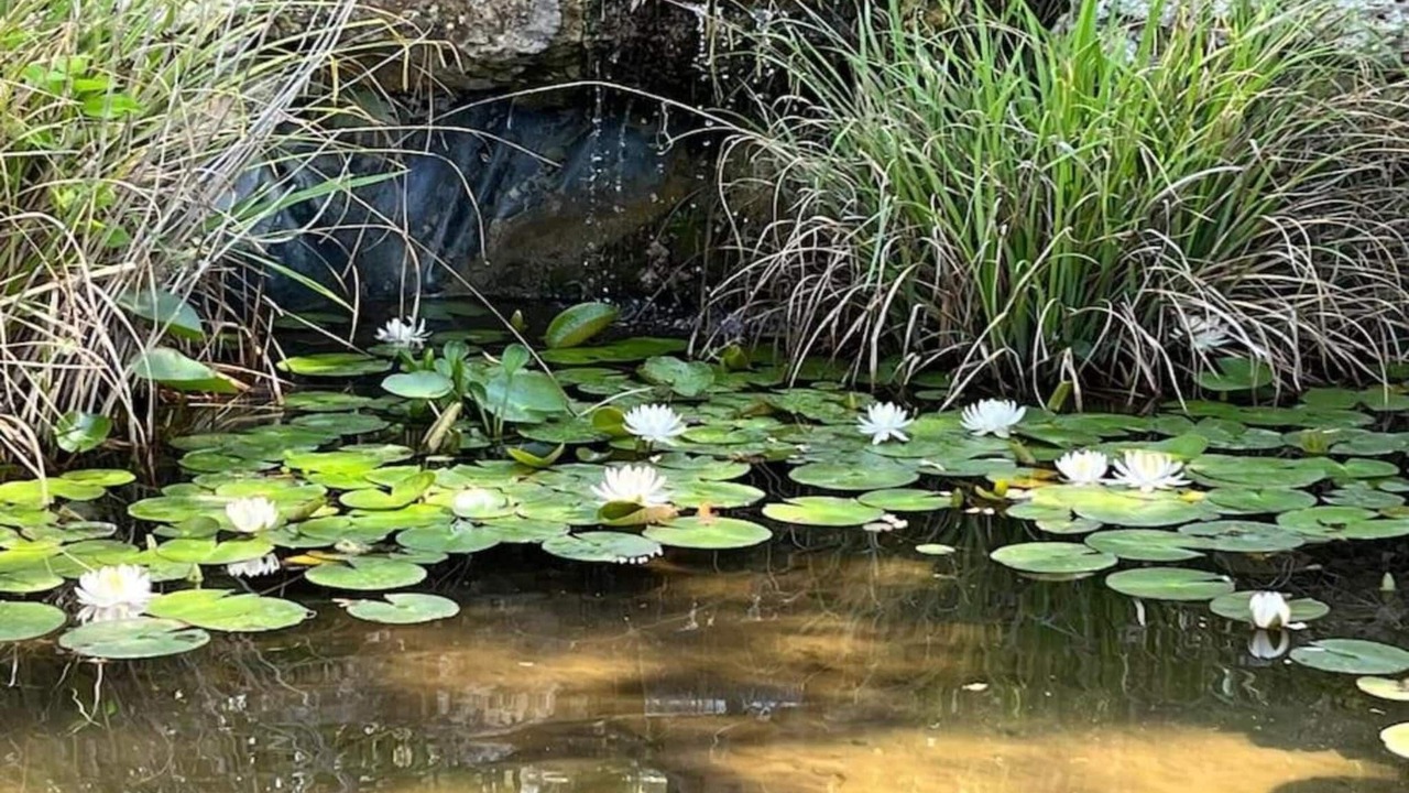 Photo of Others in Gaujac