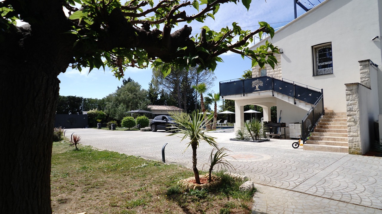 Photo of Outdoor in Orange