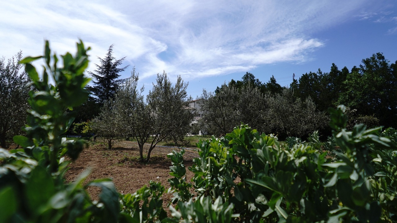 Photo of Outdoor in Orange