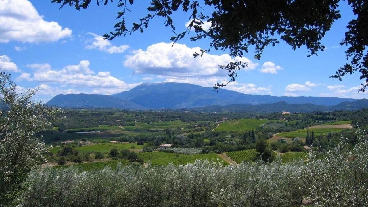 Photo of Others in Vaison-la-Romaine