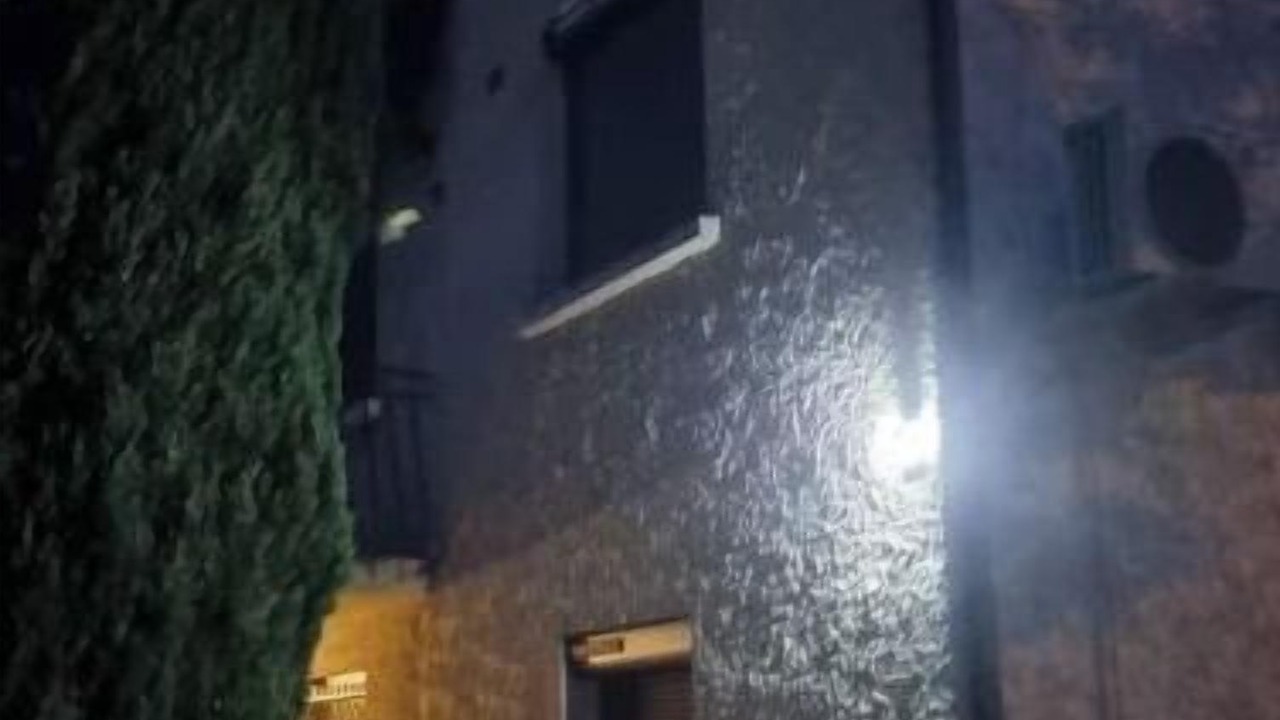 Photo of Outdoor in Orange