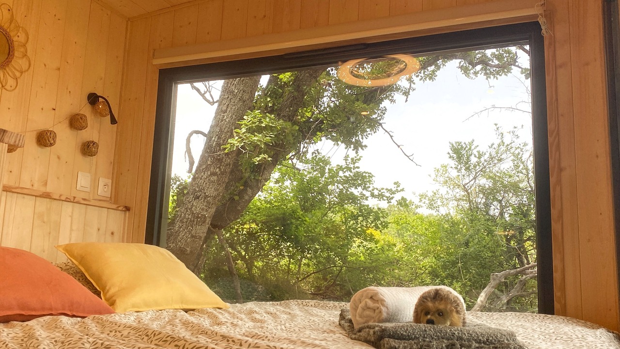 Photo of Bedroom in Viens