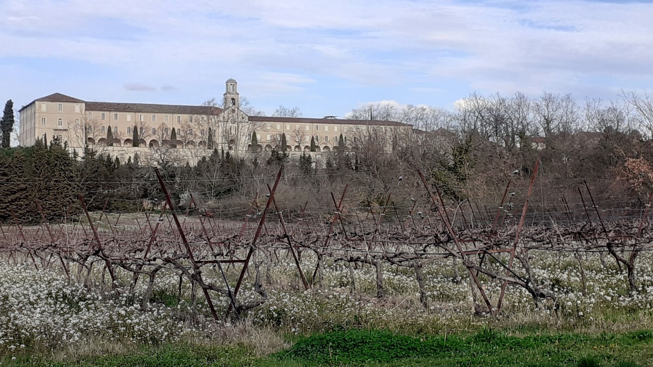 Photo of Others in Venasque