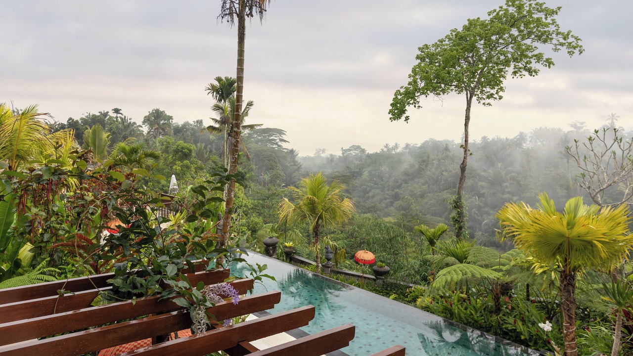 Photo of Outdoor in Taro