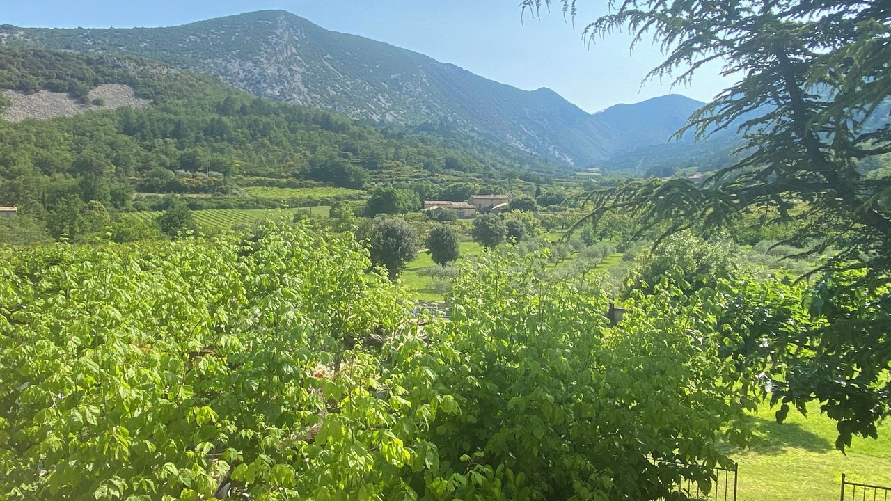 Photo of Others in Beaumont-du-Ventoux