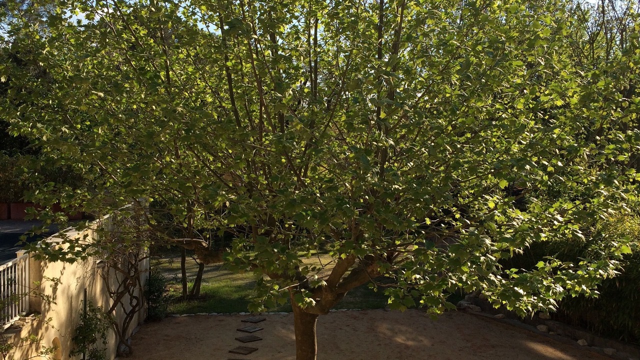 Photo of Outdoor in Venelles