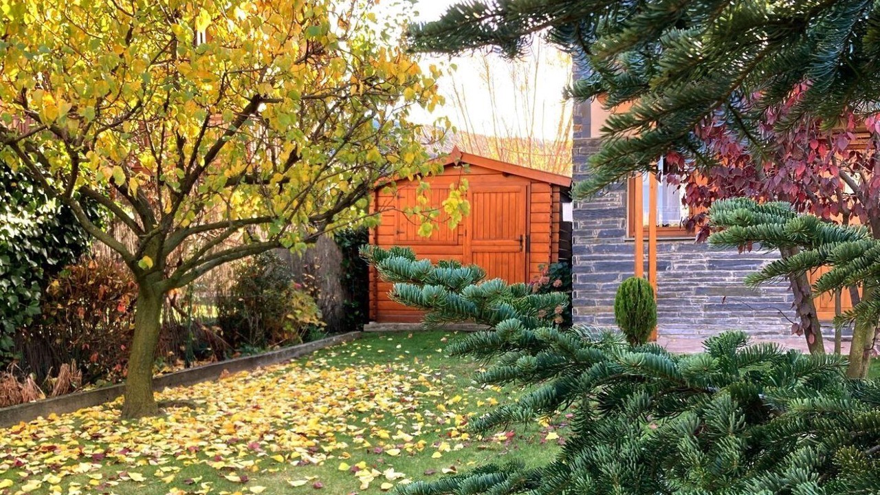 Photo of Outdoor in Osseja