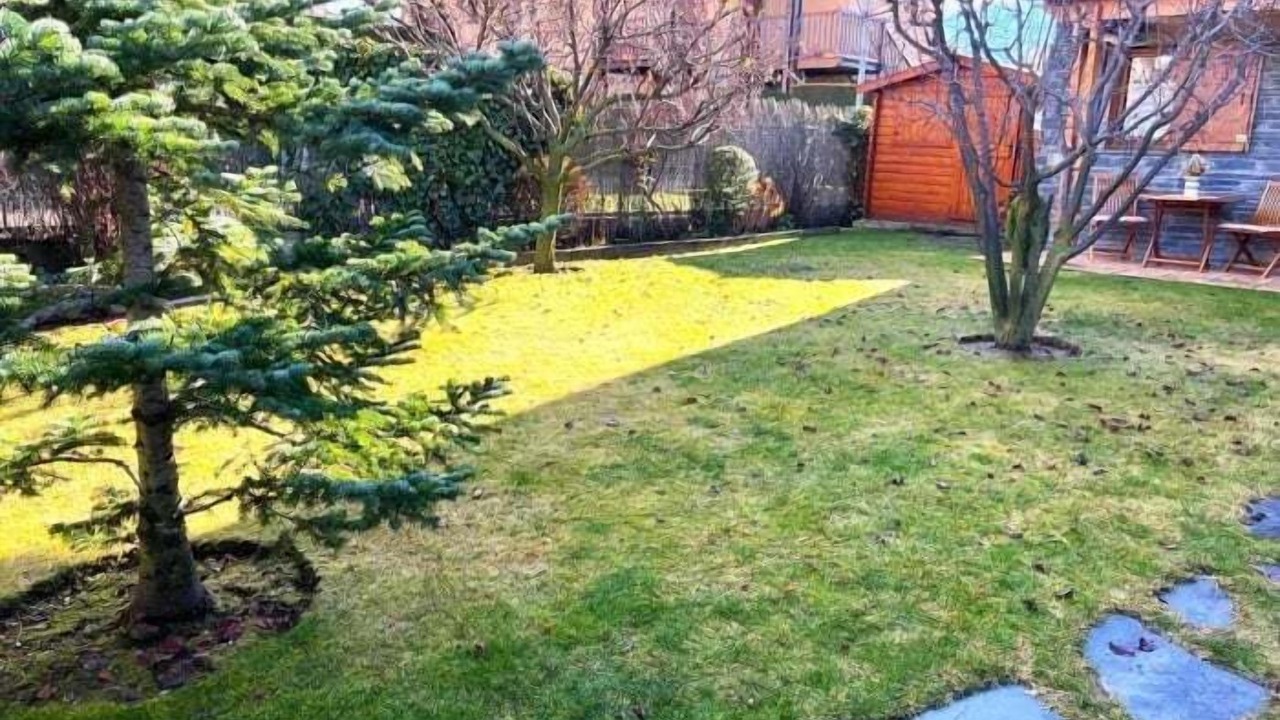 Photo of Outdoor in Osseja