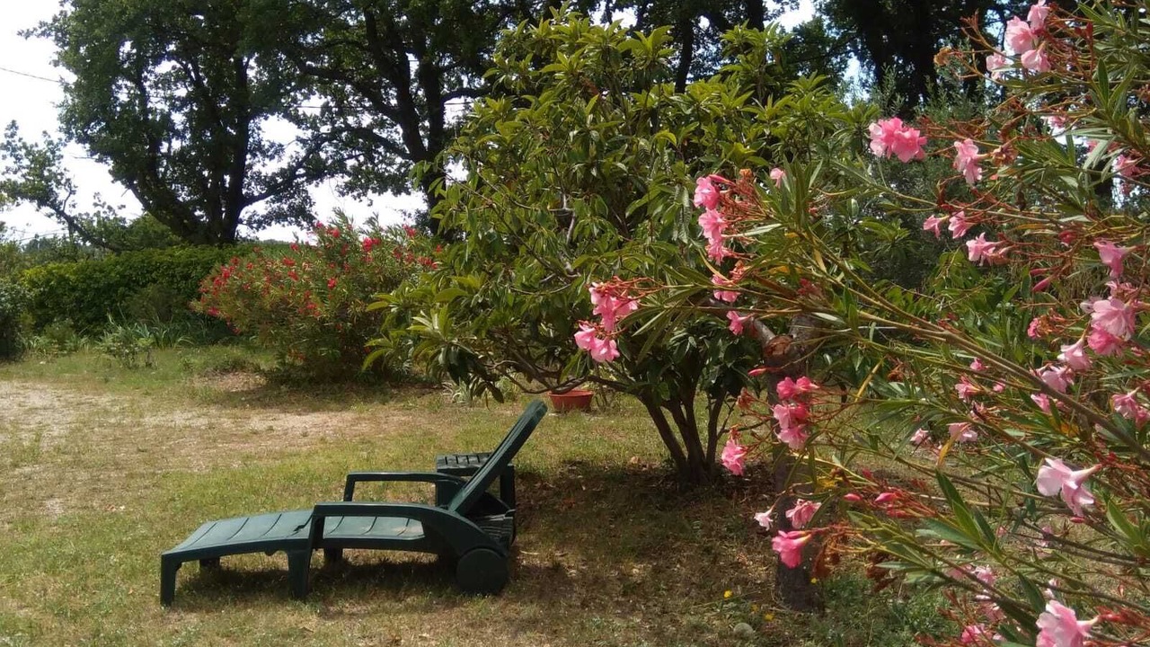 Photo of Outdoor in Vaison Ventoux
