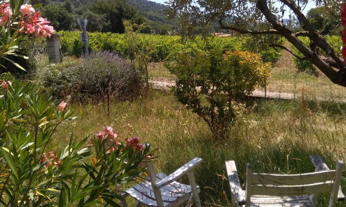 Photo of Outdoor in Vaison Ventoux