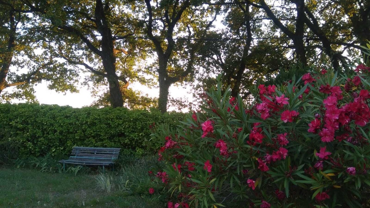 Photo of Outdoor in Vaison Ventoux