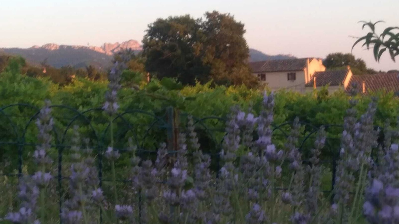 Photo of Others in Vaison Ventoux