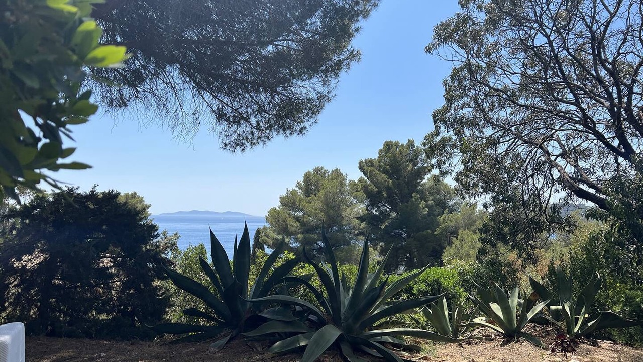 Photo of Others in Rayol-Canadel-sur-Mer