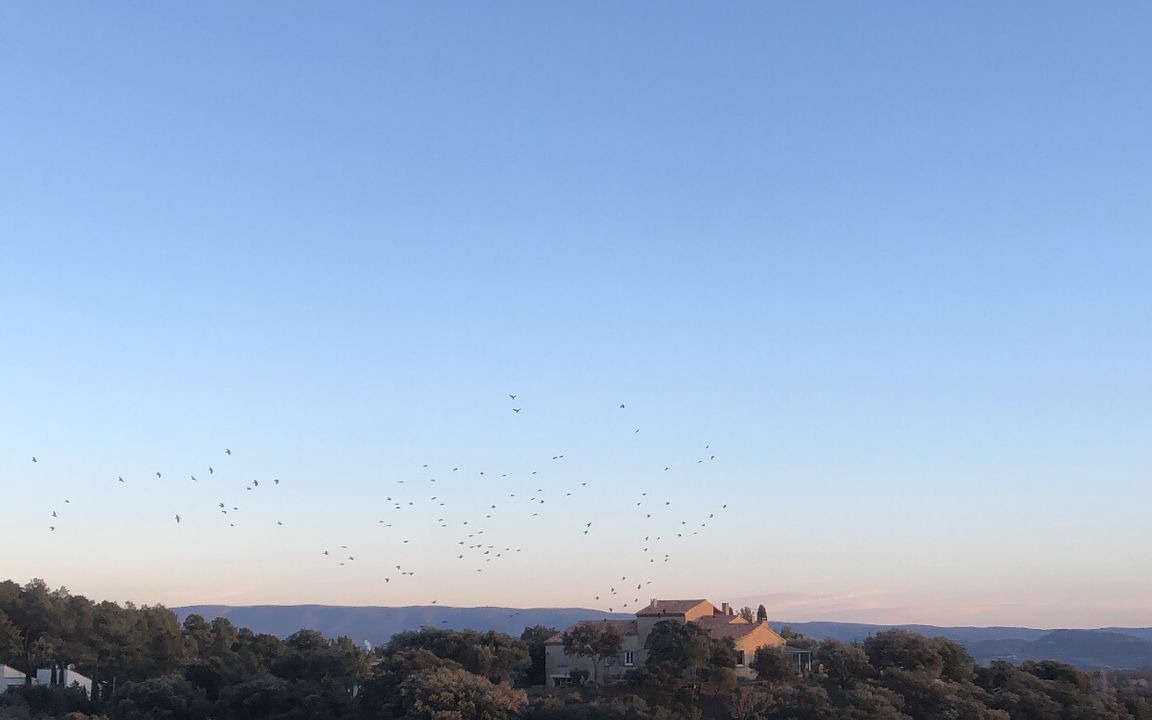 Photo of Outdoor in Bedoin