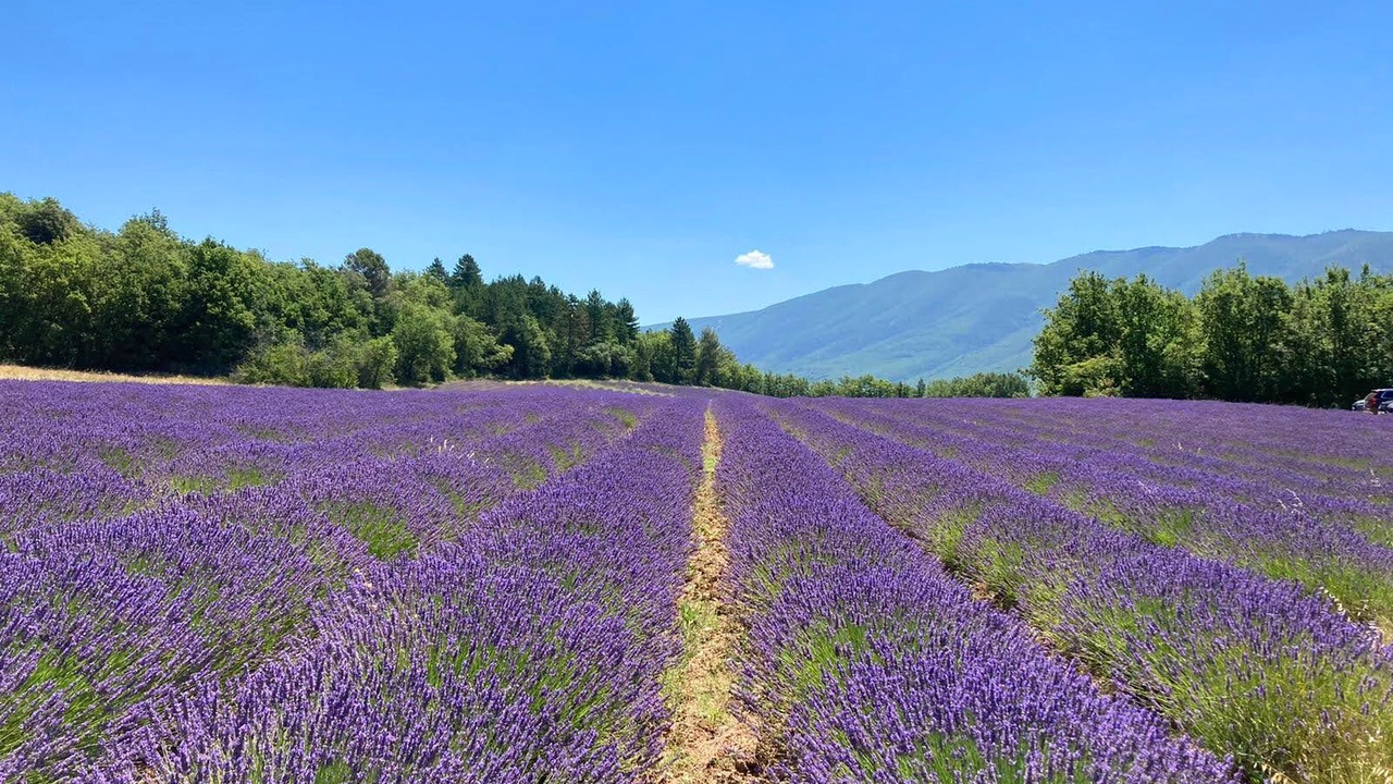 Photo of Outdoor in Saint-Martin-de-Castillon