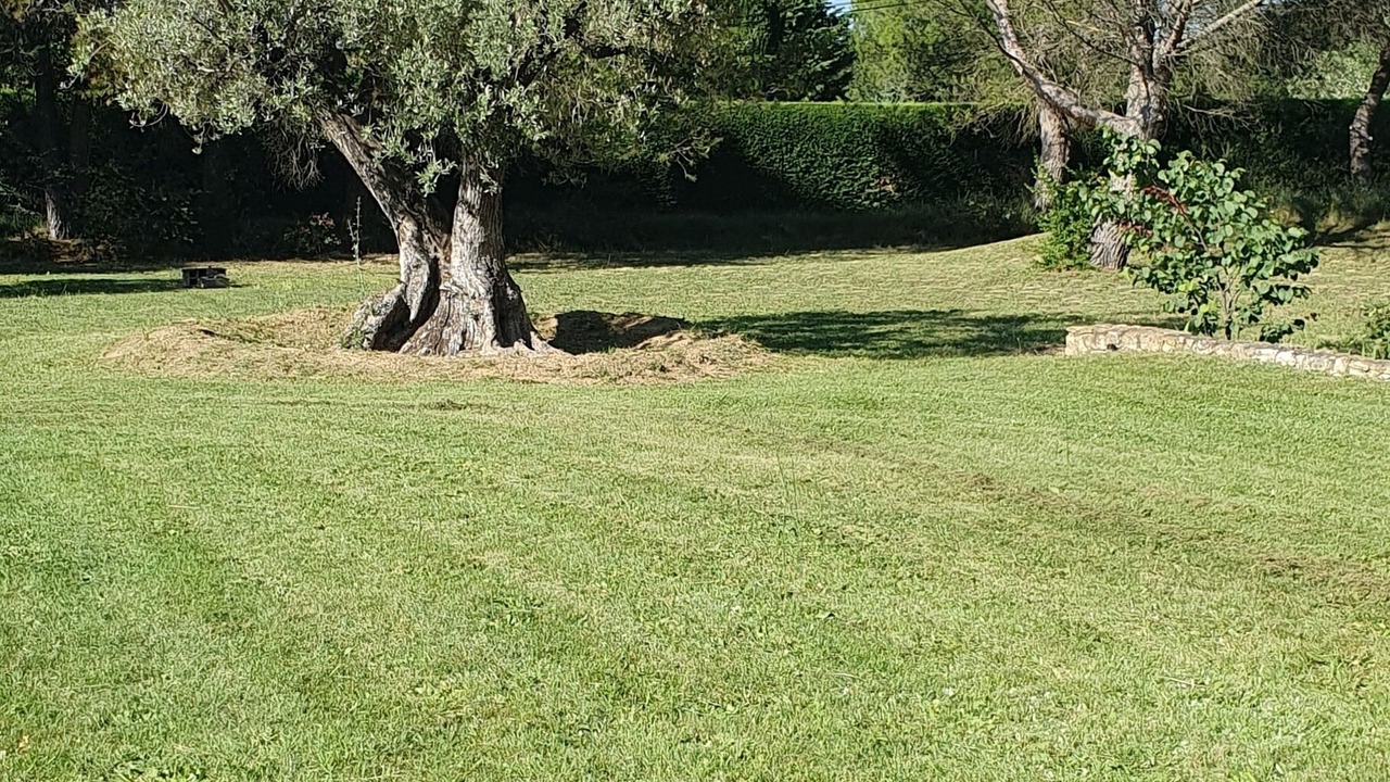Photo of Others in Saint-Cannat