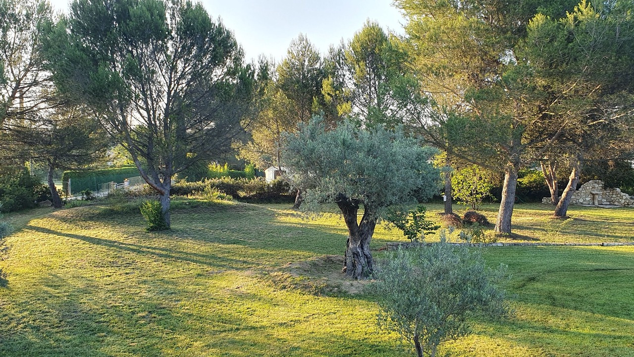 Photo of Outdoor in Saint-Cannat