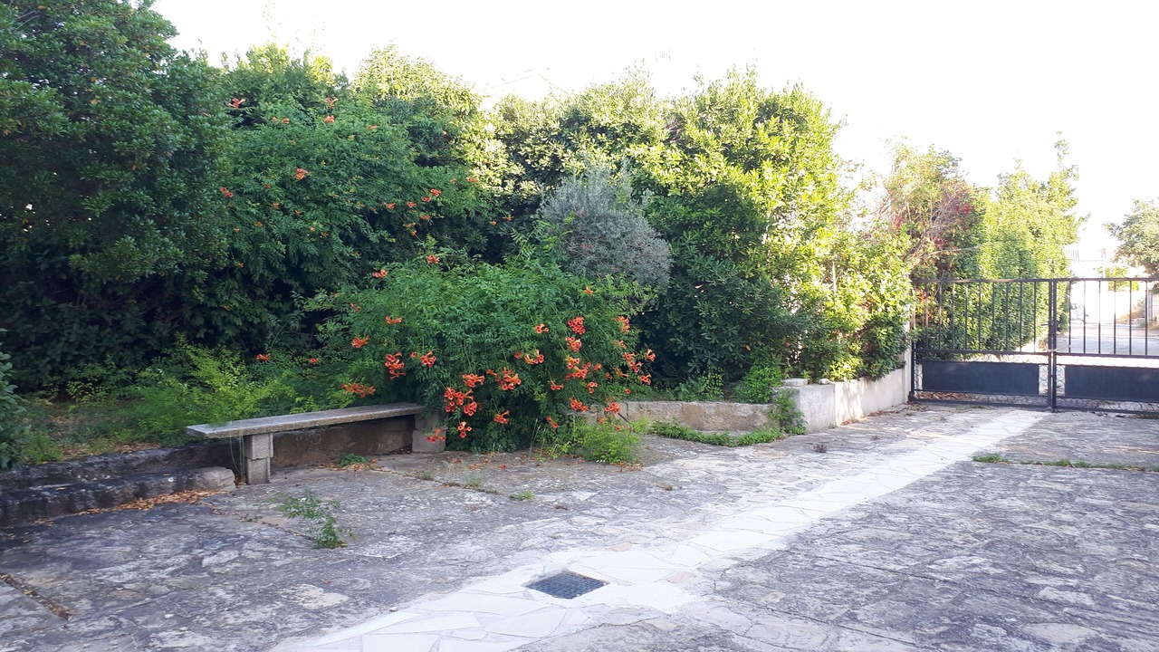 Photo of Outdoor in Saint-Mitre-les-Remparts