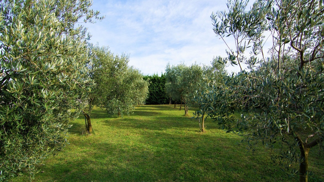 Photo of Others in Montfrin