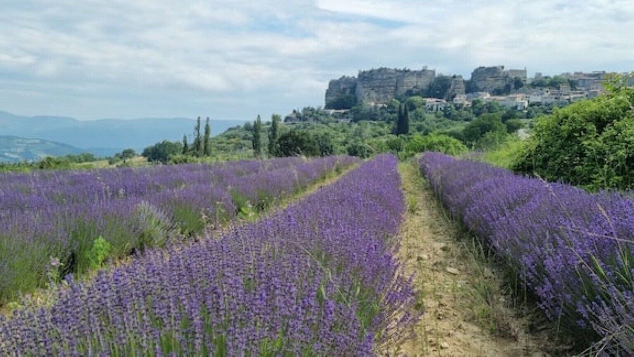 Photo of Others in Saignon