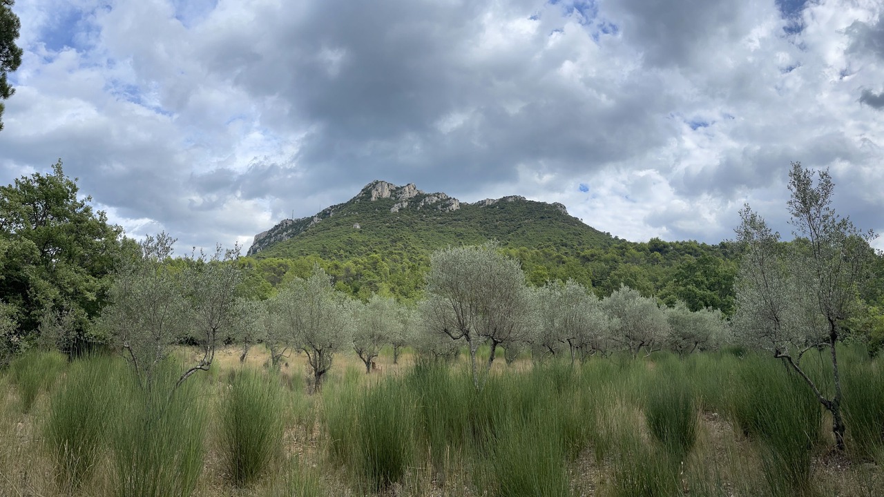 Photo of Outdoor in Brignoles