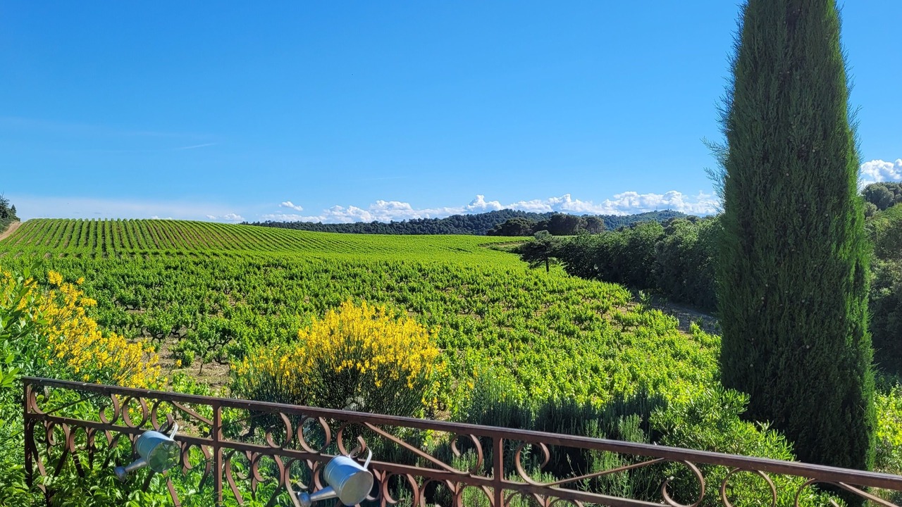 Photo of Outdoor in Mondragon