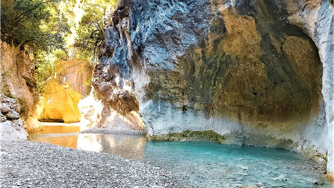 Photo of Others in Montfavet