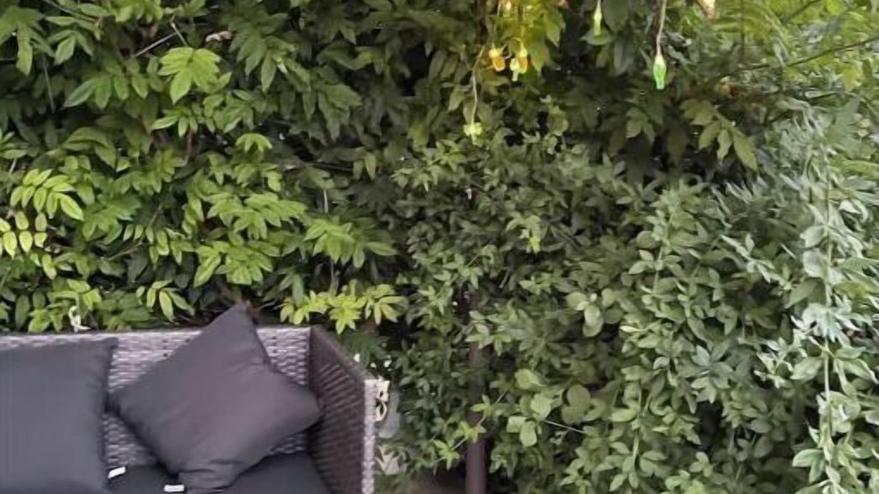 Photo of Outdoor in Tourves