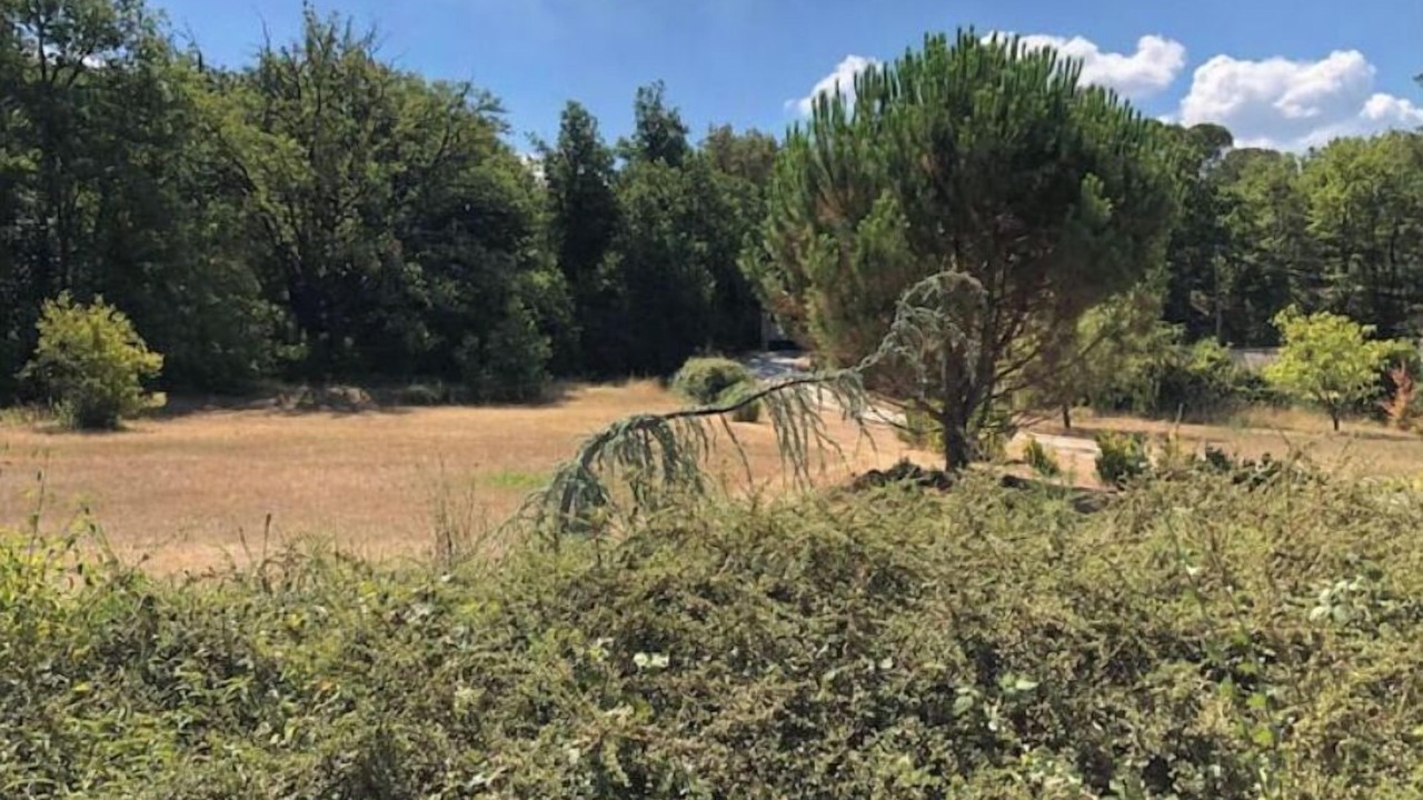 Photo of Outdoor in Tourves