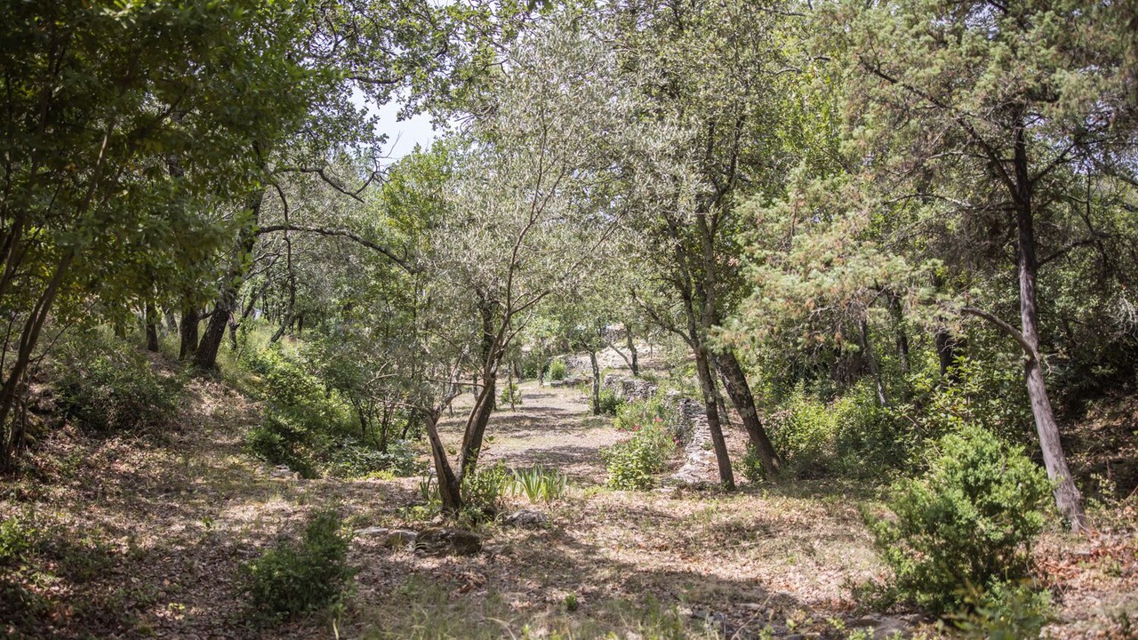 Photo of Outdoor in Castillon-du-Gard