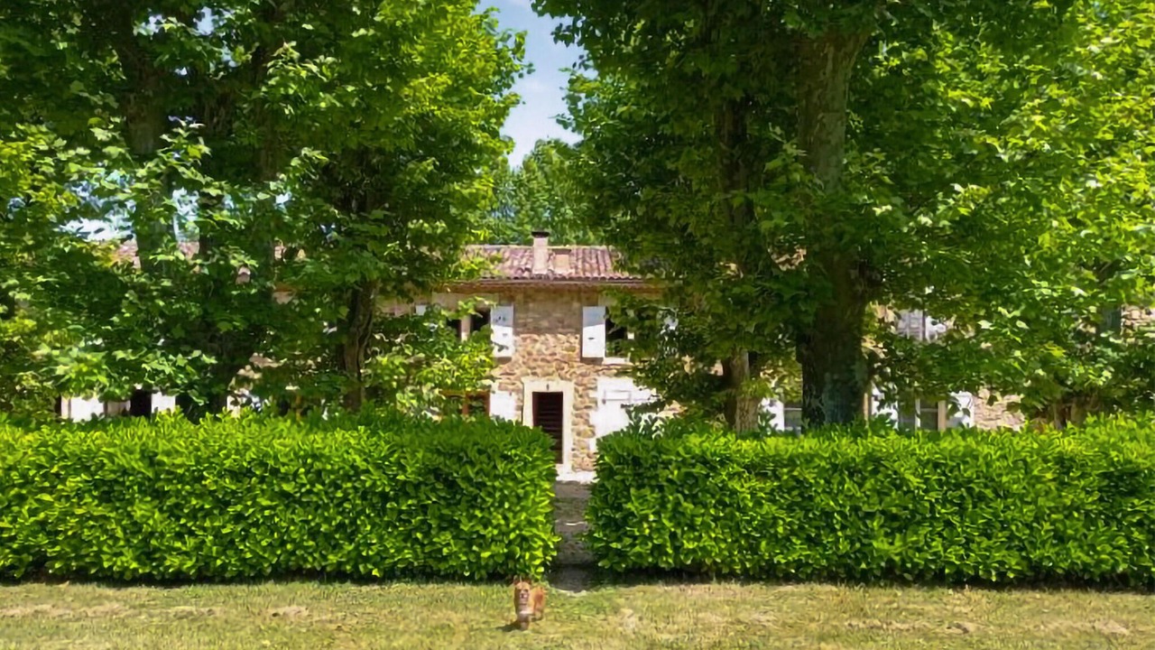 Photo of Others in Rustrel