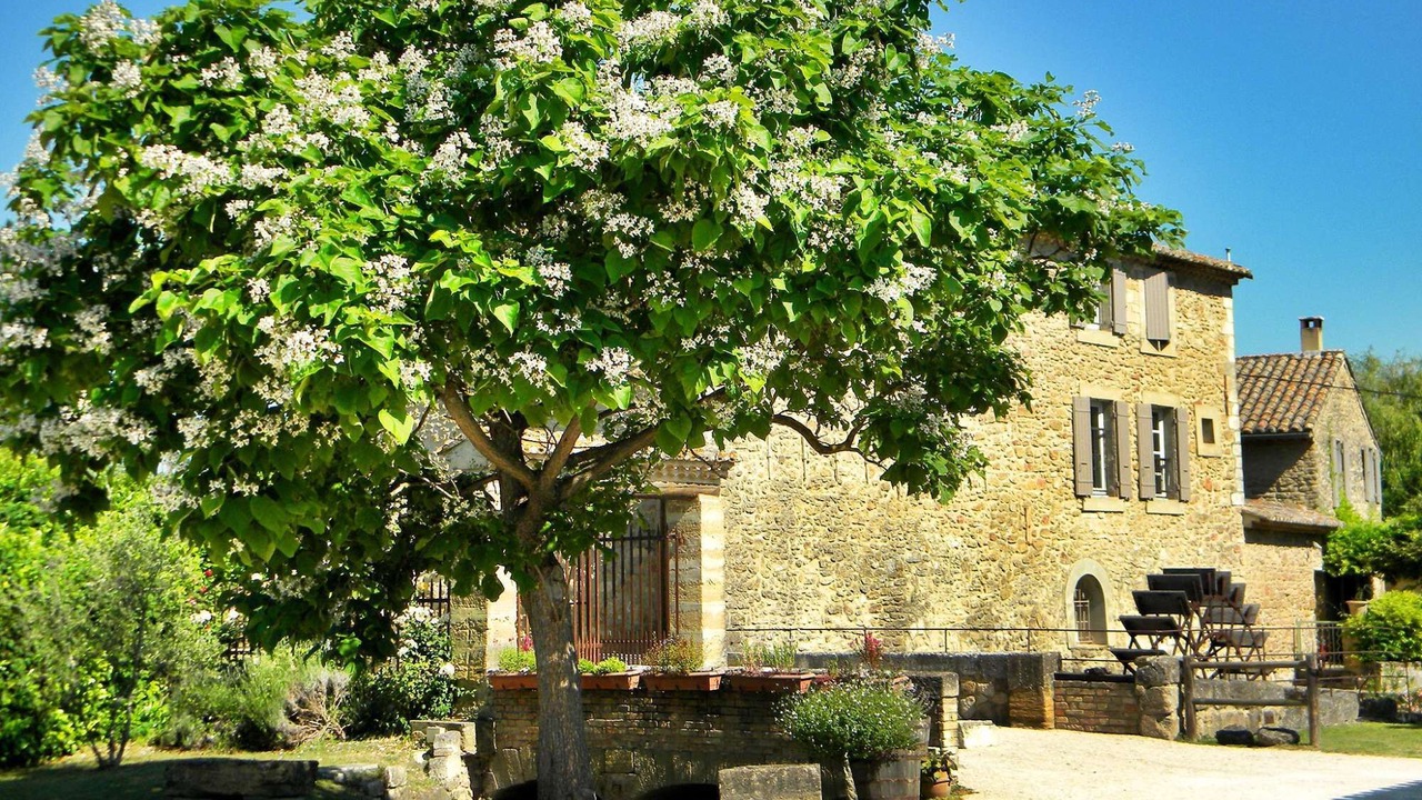 Photo of Outdoor in Entraigues-sur-la-Sorgue