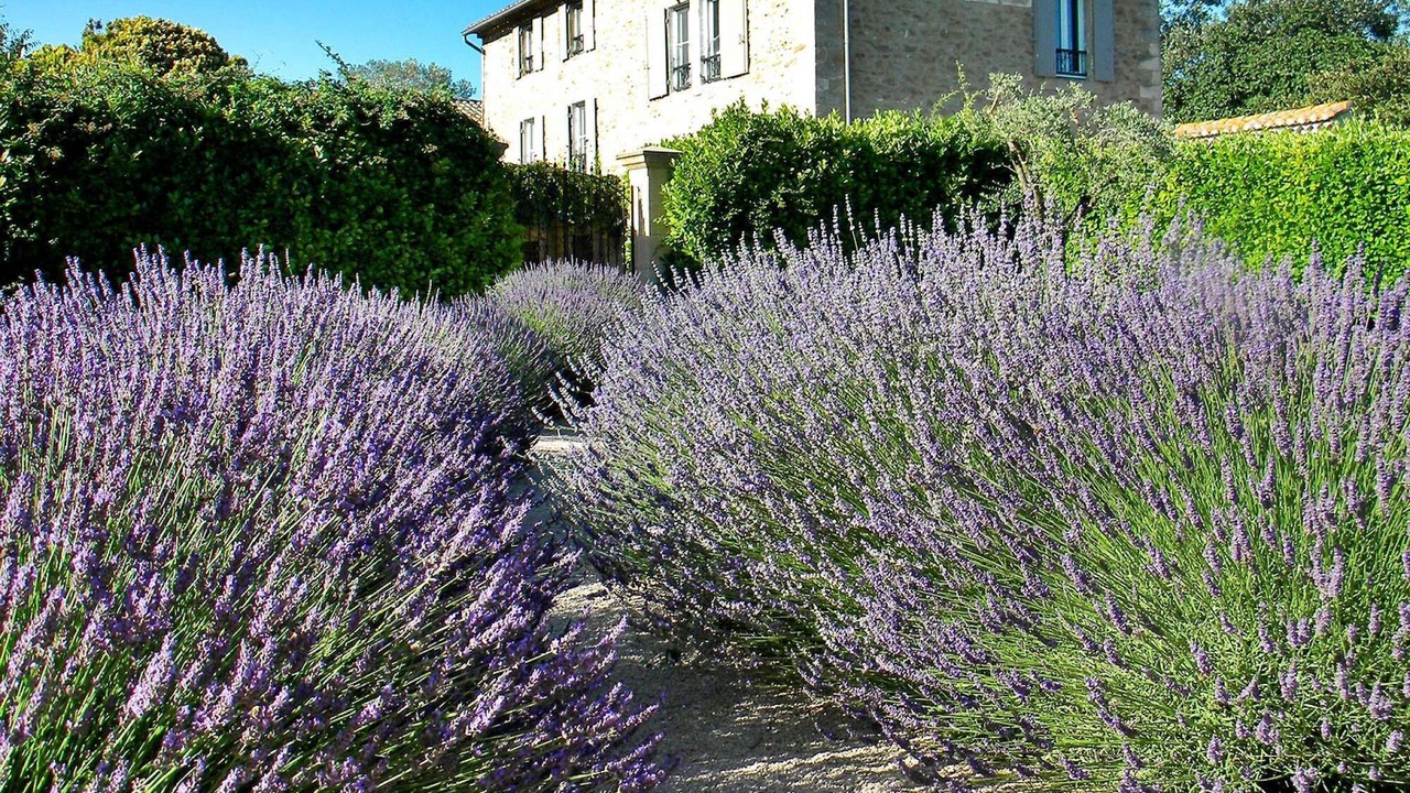 Photo of Outdoor in Entraigues-sur-la-Sorgue