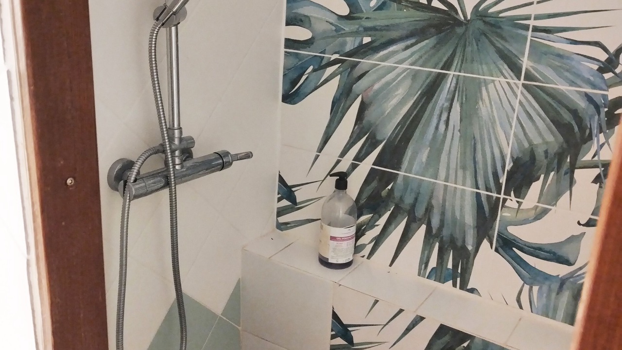 Photo of Bathroom in Monteux