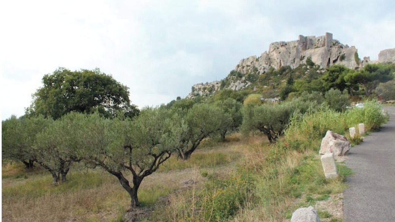 Photo of Outdoor in Maussane