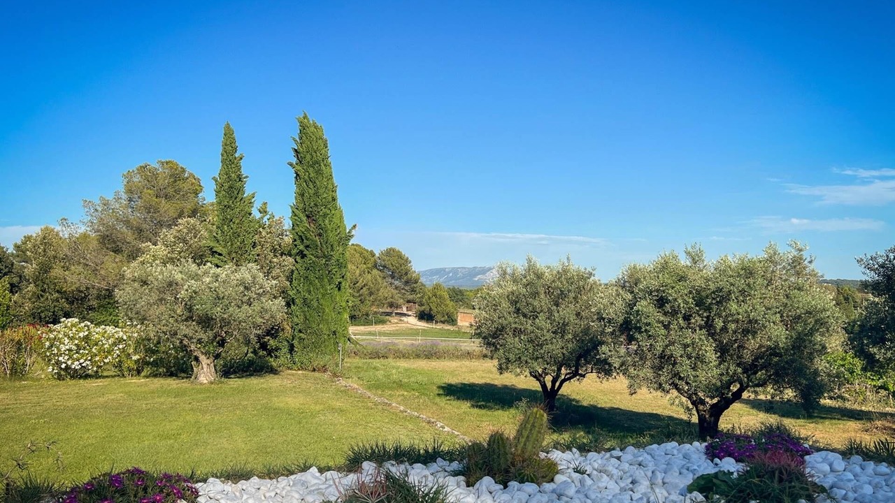 Photo of Others in Pontes
