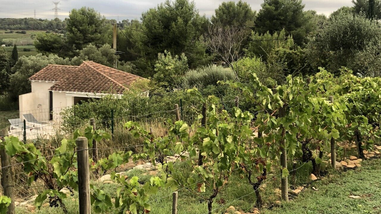 Photo of Outdoor in Jonquieres-Saint-Vincent