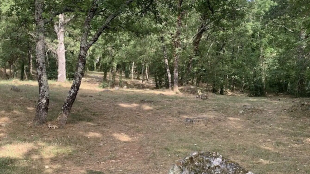 Photo of Outdoor in Saint-Cezaire-sur-Siagne