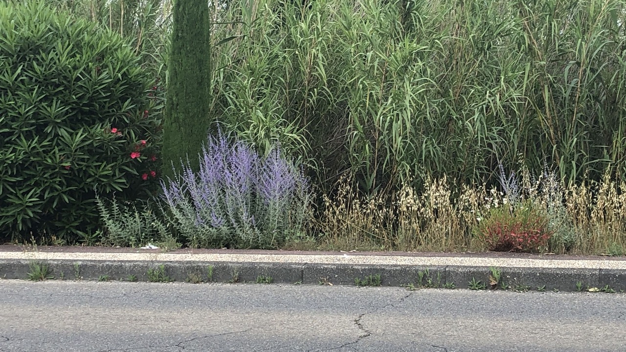 Photo of Outdoor in Cavaillon
